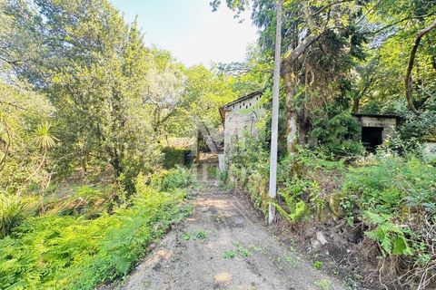 Farm i Guimaraes, Braga, Guimaraes - € 199.000 | Ref: G956 - foto 5