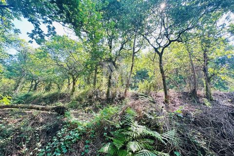Farm i Guimaraes, Braga, Guimaraes - € 199.000 | Ref: G956 - foto 14