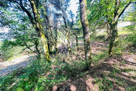 Farm i Guimaraes, Braga, Guimaraes - € 199.000 | Ref: G956 - foto 15