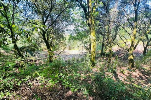 Farm i Guimaraes, Braga, Guimaraes - € 199.000 | Ref: G956 - foto 16