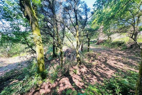 Farm i Guimaraes, Braga, Guimaraes - € 199.000 | Ref: G956 - foto 17