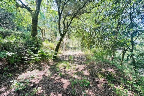 Farm i Guimaraes, Braga, Guimaraes - € 199.000 | Ref: G956 - foto 18