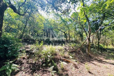 Farm i Guimaraes, Braga, Guimaraes - € 199.000 | Ref: G956 - foto 19