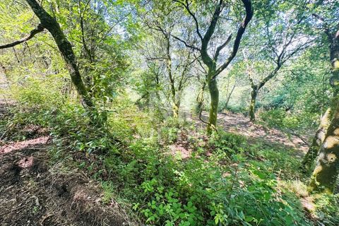 Farm i Guimaraes, Braga, Guimaraes - € 199.000 | Ref: G956 - foto 20