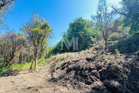 Farm i Guimaraes, Braga, Guimaraes - € 199.000 | Ref: G956 - foto 21