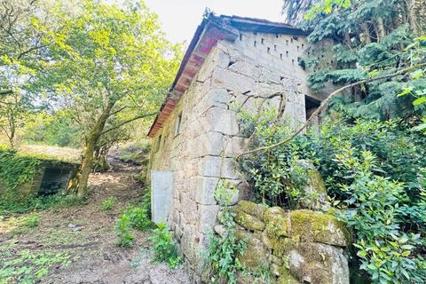 Farm i Guimaraes, Braga, Guimaraes - € 199.000 | Ref: G956 - foto 22