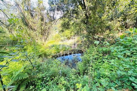 Farm i Guimaraes, Braga, Guimaraes - € 199.000 | Ref: G956 - foto 23