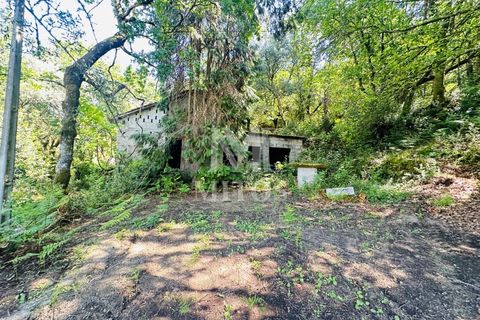 Farm i Guimaraes, Braga, Guimaraes - € 199.000 | Ref: G956 - foto 24