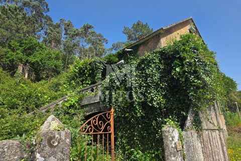 Villa i Viana do Castelo, Viana do Castelo, Viana do Castelo - € 85.000 | Ref: C607 - foto 3
