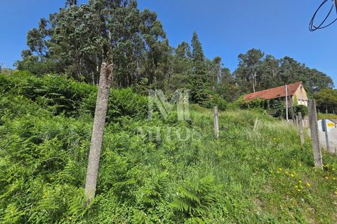 Villa i Viana do Castelo, Viana do Castelo, Viana do Castelo - € 85.000 | Ref: C607 - foto 8