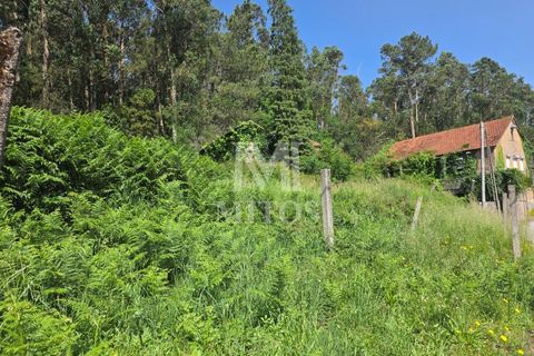 Villa i Viana do Castelo, Viana do Castelo, Viana do Castelo - € 85.000 | Ref: C607 - foto 9