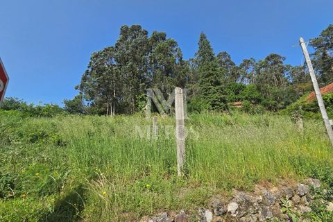 Villa i Viana do Castelo, Viana do Castelo, Viana do Castelo - € 85.000 | Ref: C607 - foto 10