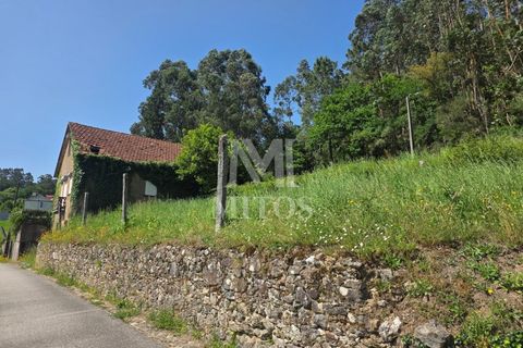 Villa i Viana do Castelo, Viana do Castelo, Viana do Castelo - € 85.000 | Ref: C607 - foto 11
