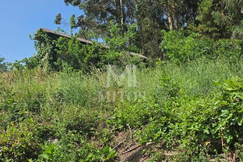 Villa i Viana do Castelo, Viana do Castelo, Viana do Castelo - € 85.000 | Ref: C607 - foto 13