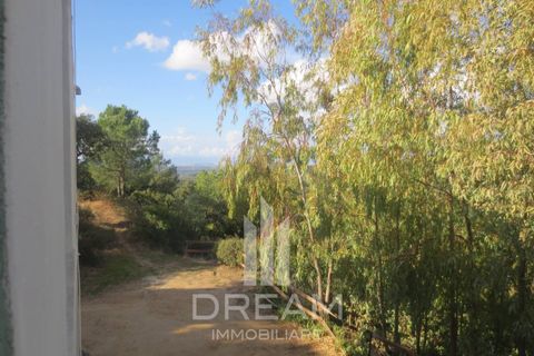 Rækkehus i Maracalagonis, Cagliari, Maracalagonis - € 95.000 | Ref: A743 - foto 11