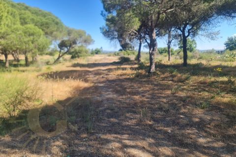 Helårsgrund i Almancil, Faro, Almancil - € 950.000 | Ref: 0096 - foto 3