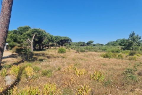 Helårsgrund i Almancil, Faro, Almancil - € 950.000 | Ref: 0096 - foto 5
