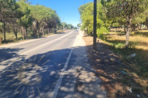 Helårsgrund i Almancil, Faro, Almancil - € 950.000 | Ref: 0096 - foto 6