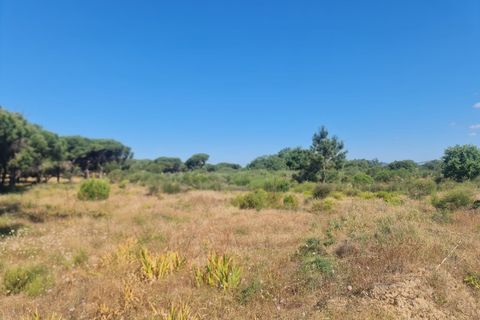 Helårsgrund i Almancil, Faro, Almancil - € 950.000 | Ref: 0096 - foto 8