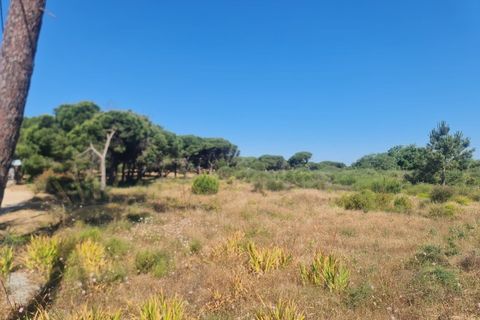 Helårsgrund i Almancil, Faro, Almancil - € 950.000 | Ref: 0096 - foto 9