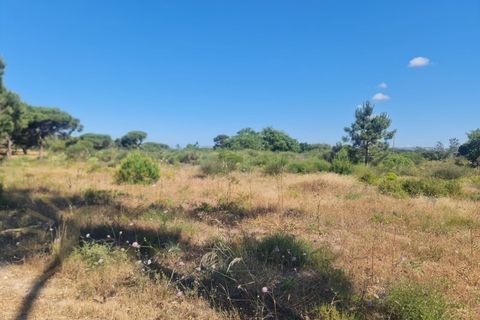 Helårsgrund i Almancil, Faro, Almancil - € 950.000 | Ref: 0096 - foto 11