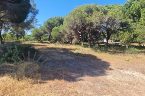 Helårsgrund i Almancil, Faro, Almancil - € 950.000 | Ref: 0096 - foto 14
