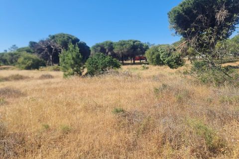 Helårsgrund i Almancil, Faro, Almancil - € 950.000 | Ref: 0096 - foto 15