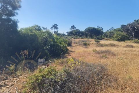 Helårsgrund i Almancil, Faro, Almancil - € 950.000 | Ref: 0096 - foto 16