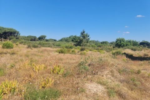 Helårsgrund i Almancil, Faro, Almancil - € 950.000 | Ref: 0096 - foto 19