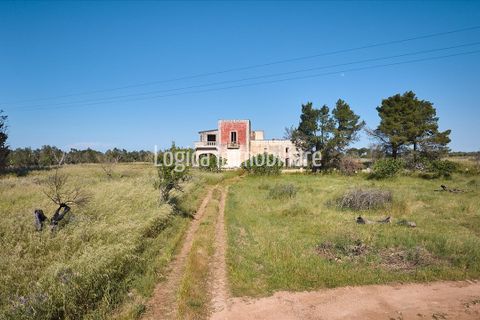 Farm hus i Copertino, Lecce, Copertino - € 340.000 | Ref: CA632 - foto 2