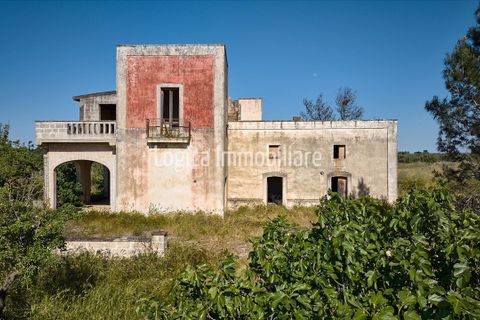 Farm hus i Copertino, Lecce, Copertino - € 340.000 | Ref: CA632 - foto 3