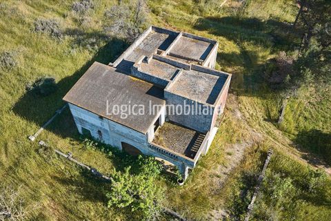 Farm hus i Copertino, Lecce, Copertino - € 340.000 | Ref: CA632 - foto 6