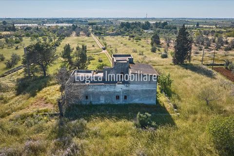 Farm hus i Copertino, Lecce, Copertino - € 340.000 | Ref: CA632 - foto 7