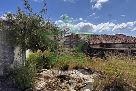 Villa i Assentiz, Santarem, Assentiz - € 135.000 | Ref: STAR_257 - foto 34