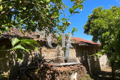 Granja a Gois, Coimbra, Gois - € 140.000 | Ref: CR0787 - foto 27