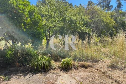 Granja a Gois, Coimbra, Gois - € 140.000 | Ref: CR0787 - foto 28