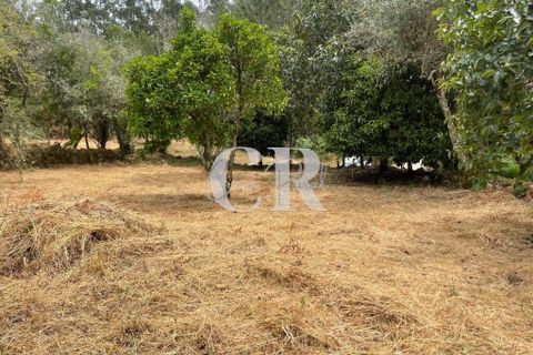Granja a Gois, Coimbra, Gois - € 140.000 | Ref: CR0787 - foto 29