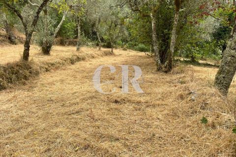Granja a Gois, Coimbra, Gois - € 140.000 | Ref: CR0787 - foto 30