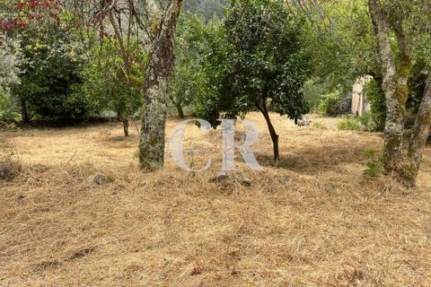 Granja a Gois, Coimbra, Gois - € 140.000 | Ref: CR0787 - foto 31