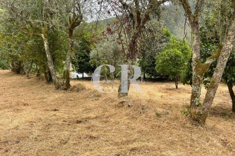 Granja a Gois, Coimbra, Gois - € 140.000 | Ref: CR0787 - foto 32