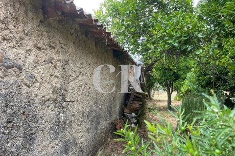 Granja a Gois, Coimbra, Gois - € 140.000 | Ref: CR0787 - foto 41