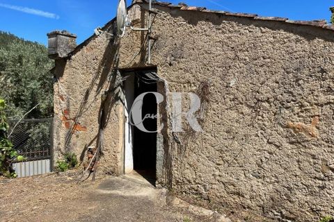 Granja a Gois, Coimbra, Gois - € 140.000 | Ref: CR0787 - foto 42
