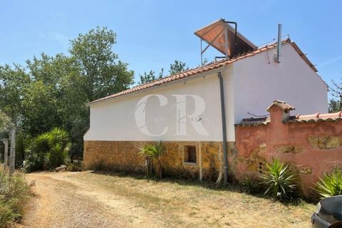 Gård i Lousa, Coimbra, Lousa - € 250 000 | Ref: CR0779 - foto 36