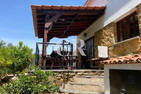 Gård i Lousa, Coimbra, Lousa - € 250 000 | Ref: CR0779 - foto 44