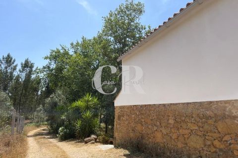 Gård i Lousa, Coimbra, Lousa - € 250 000 | Ref: CR0779 - foto 46