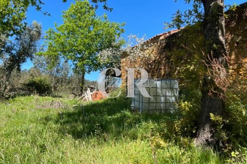 Gård i Lousa, Coimbra, Lousa - € 250 000 | Ref: CR0779 - foto 48