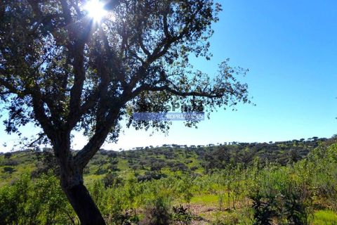 Helårsgrund i Portel, Evora, Portel - € 2.700.000 | Ref: 10001_Q - foto 1