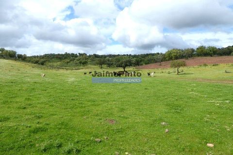 Helårsgrund i Portel, Evora, Portel - € 2.700.000 | Ref: 10001_Q - foto 2