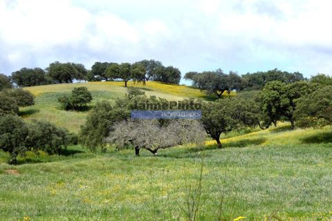 Helårsgrund i Portel, Evora, Portel - € 2.700.000 | Ref: 10001_Q - foto 3