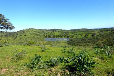 Helårsgrund i Portel, Evora, Portel - € 2.700.000 | Ref: 10001_Q - foto 4